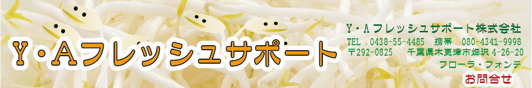 フレッシュサポート